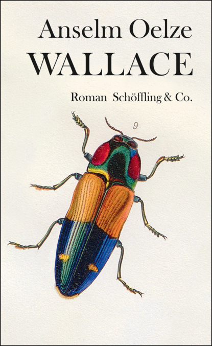 Wallace