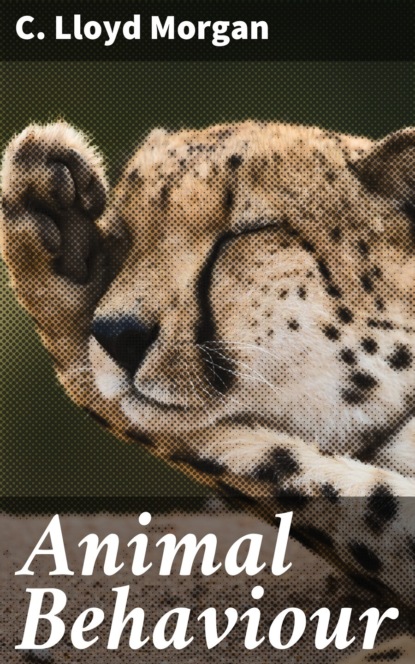Animal Behaviour