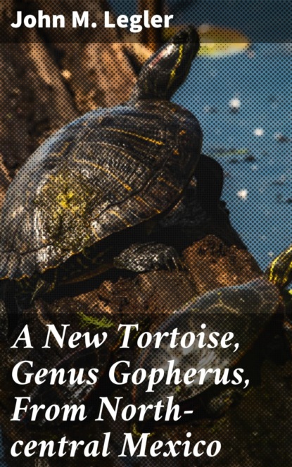 A New Tortoise, Genus Gopherus, From North-central Mexico