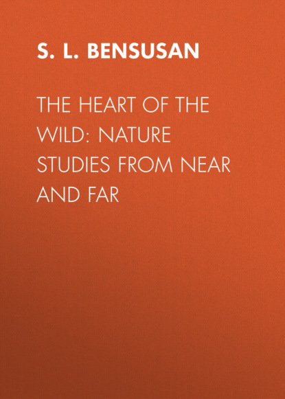 The Heart of the Wild: Nature Studies from Near and Far