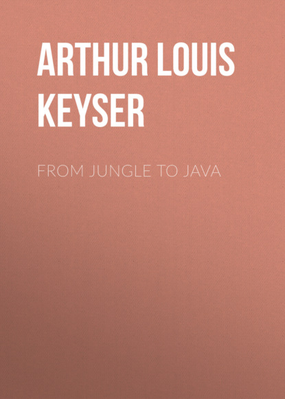 From Jungle to Java