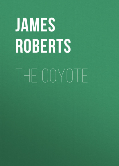 The Coyote