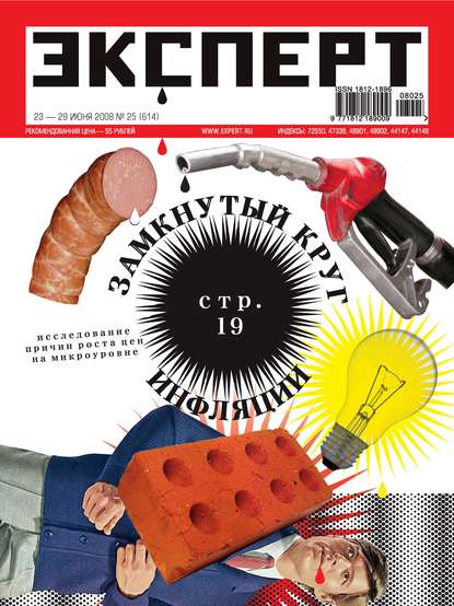 Эксперт №25/2008