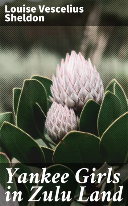 Yankee Girls in Zulu Land