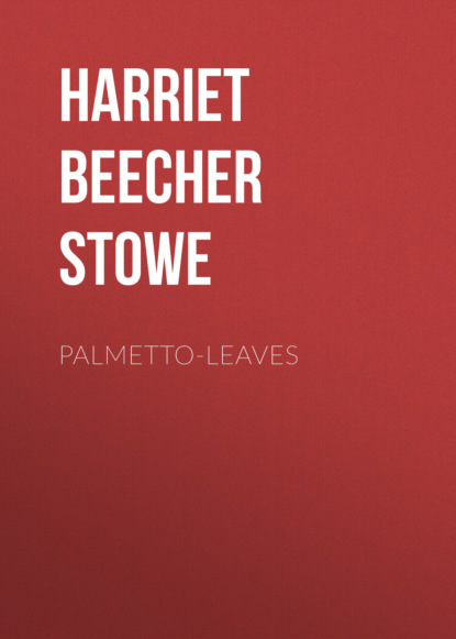 Palmetto-Leaves