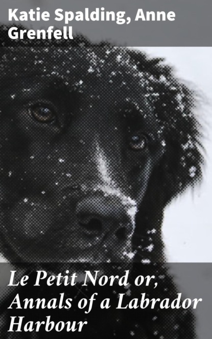 Le Petit Nord or, Annals of a Labrador Harbour