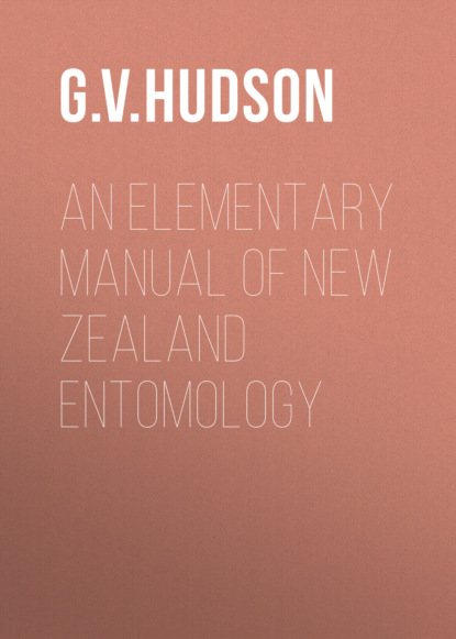 An Elementary Manual of New Zealand Entomology