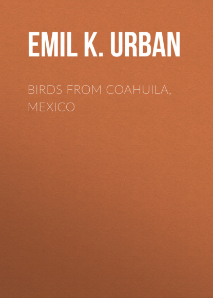 Birds from Coahuila, Mexico