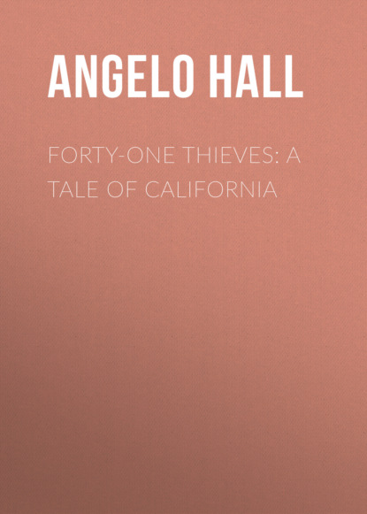 Forty-one Thieves: A Tale of California