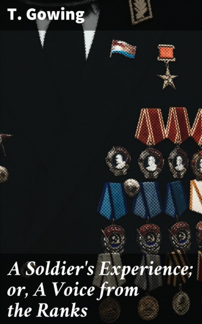 A Soldier's Experience; or, A Voice from the Ranks