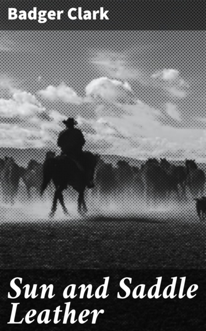 Sun and Saddle Leather