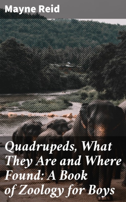 Quadrupeds, What They Are and Where Found: A Book of Zoology for Boys