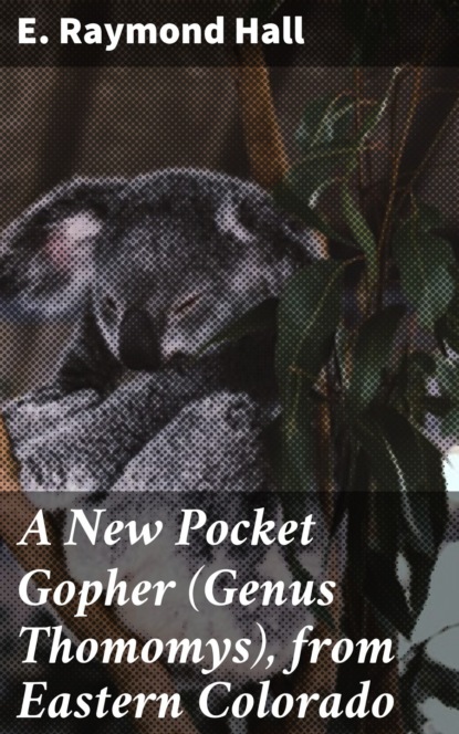 A New Pocket Gopher (Genus Thomomys), from Eastern Colorado