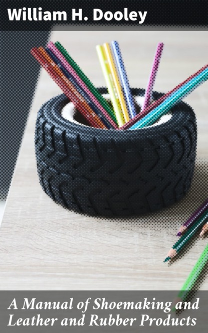 A Manual of Shoemaking and Leather and Rubber Products