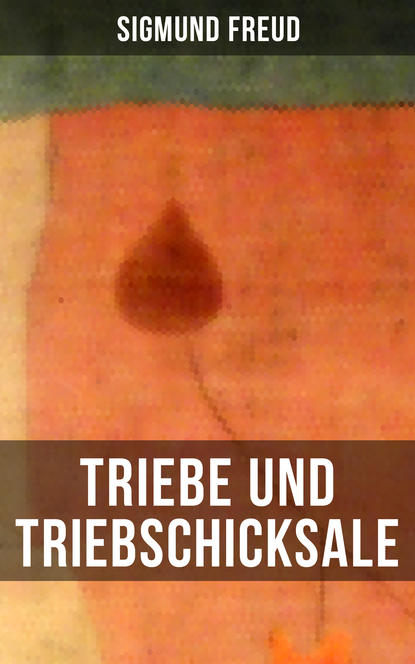 Triebe und Triebschicksale - Die Selbsterhaltungstriebe und die Sexualtriebe