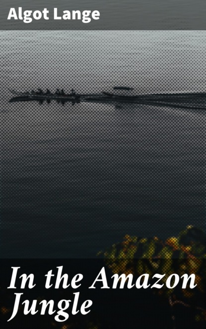 In the Amazon Jungle