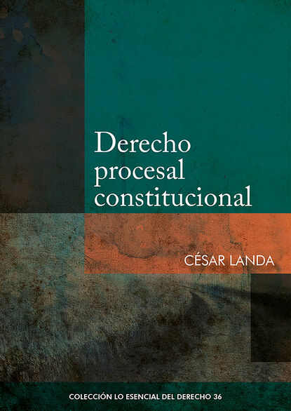 C?sar Landa — Derecho procesal constitucional