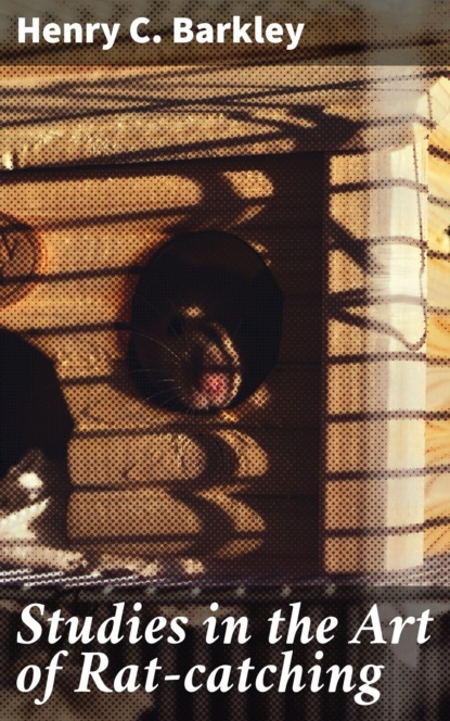 Studies in the Art of Rat-catching