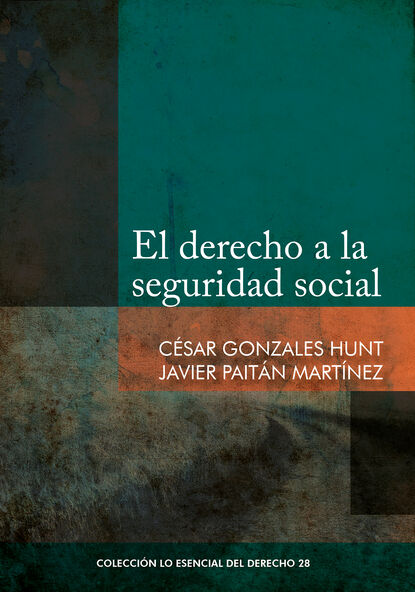 Javier Pait?n — El derecho a la seguridad social