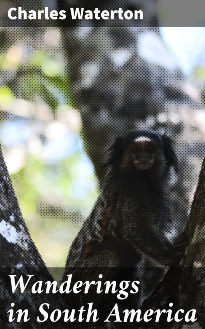 Wanderings in South America