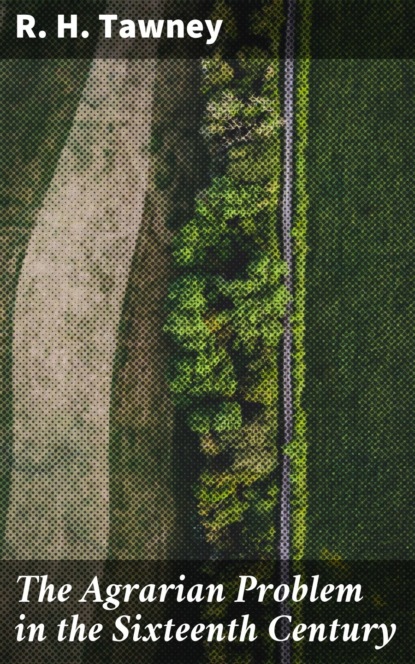 The Agrarian Problem in the Sixteenth Century