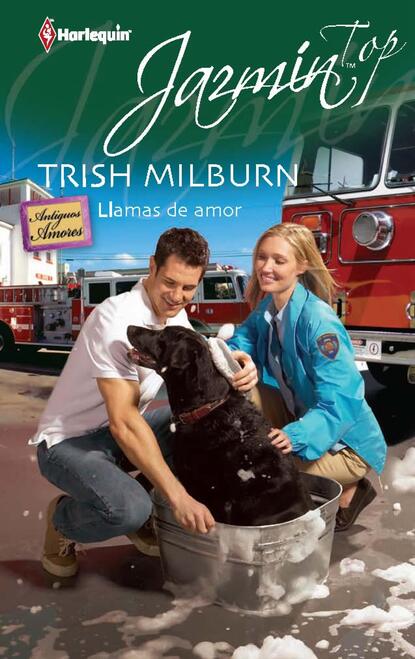 LLAMAS DE AMOR