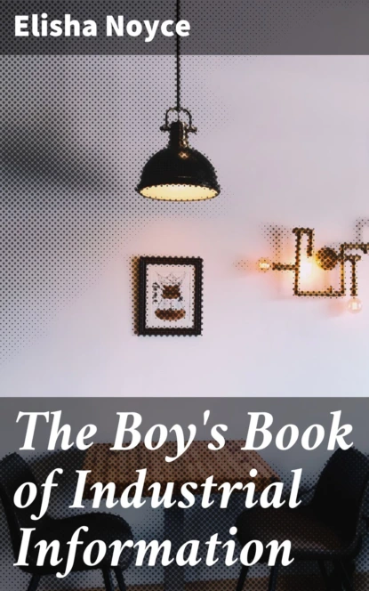 The Boy's Book of Industrial Information