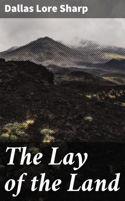 The Lay of the Land