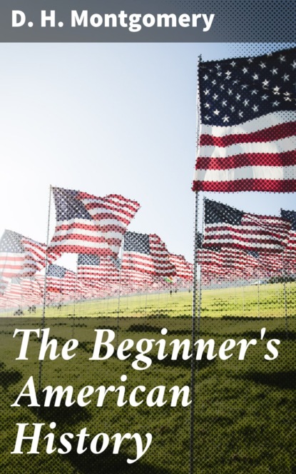 The Beginner's American History