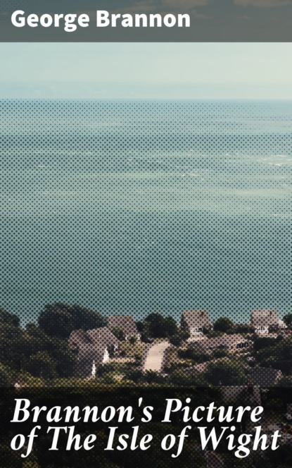 Brannon's Picture of The Isle of Wight