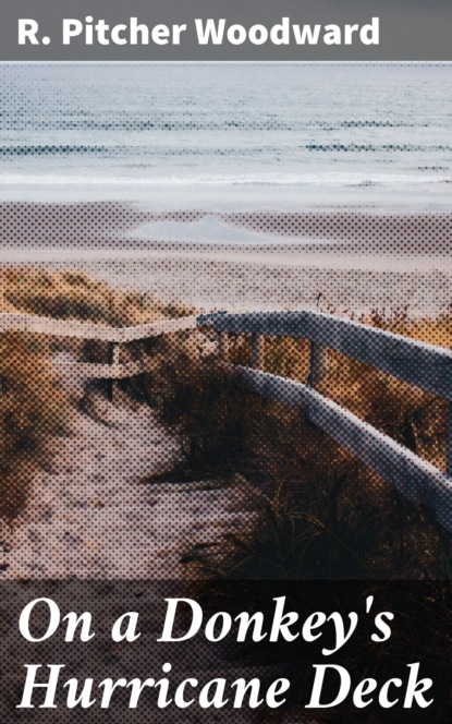 On a Donkey's Hurricane Deck