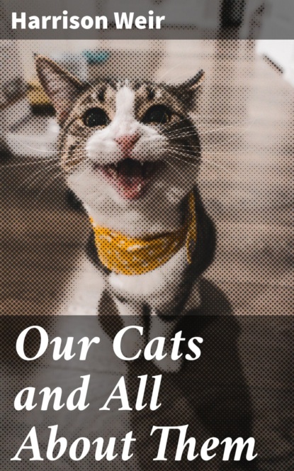 Our Cats and All About Them