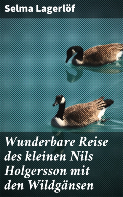 Wunderbare Reise des kleinen Nils Holgersson mit den Wildgänsen
