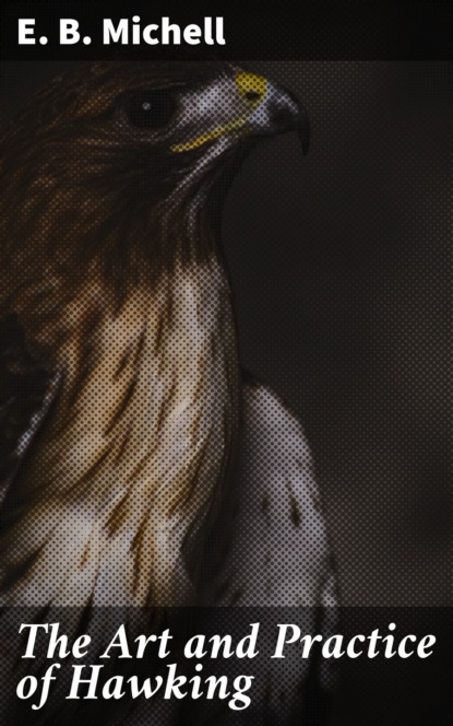 The Art and Practice of Hawking