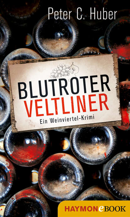 Alf von Dülmen (Historischer Roman)