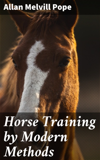 Horse Training by Modern Methods