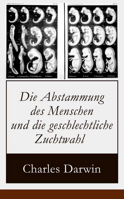 Die Abstammung des Menschen und die geschlechtliche Zuchtwahl