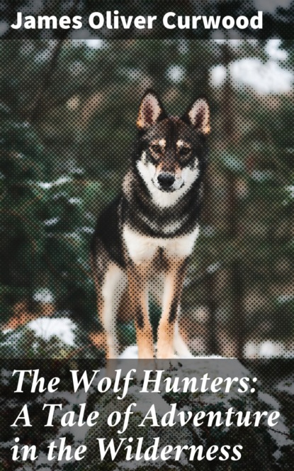The Wolf Hunters: A Tale of Adventure in the Wilderness