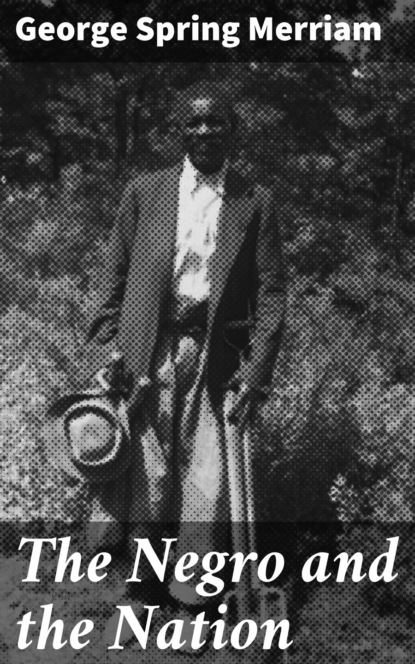 The Negro and the Nation