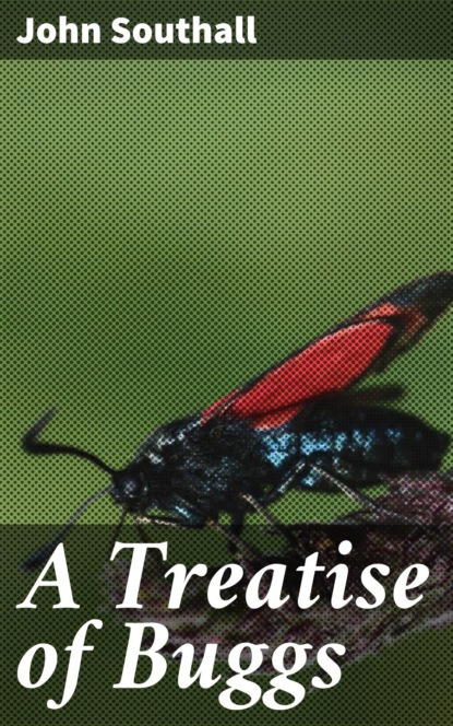 A Treatise of Buggs