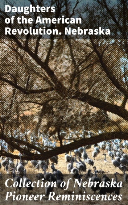 Collection of Nebraska Pioneer Reminiscences