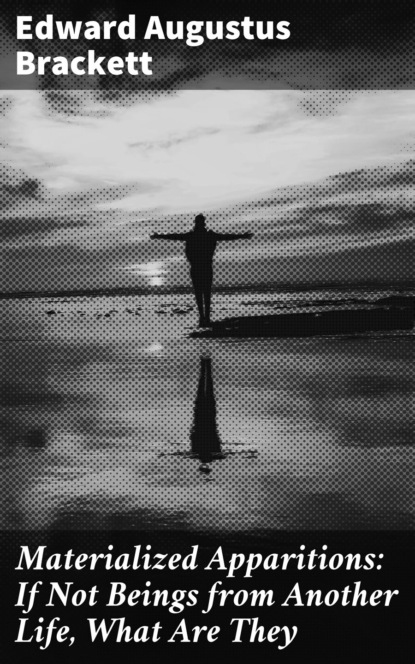 Materialized Apparitions: If Not Beings from Another Life, What Are They
