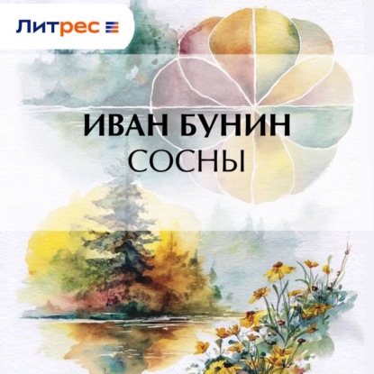 

Сосны