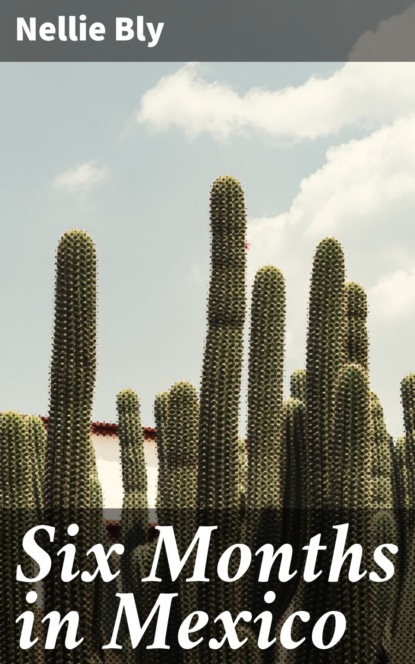 Six Months in Mexico
