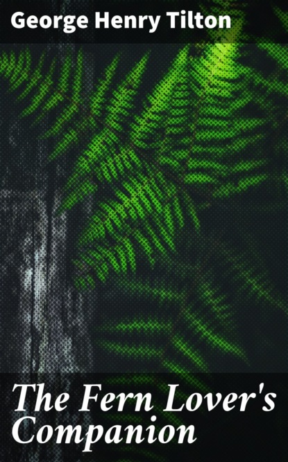 The Fern Lover's Companion