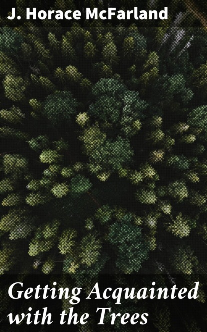 Getting Acquainted with the Trees