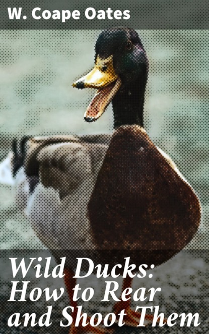 Wild Ducks: How to Rear and Shoot Them