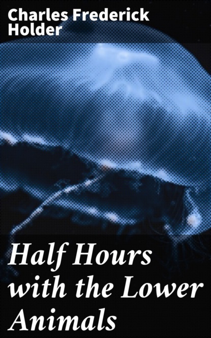 Half Hours with the Lower Animals