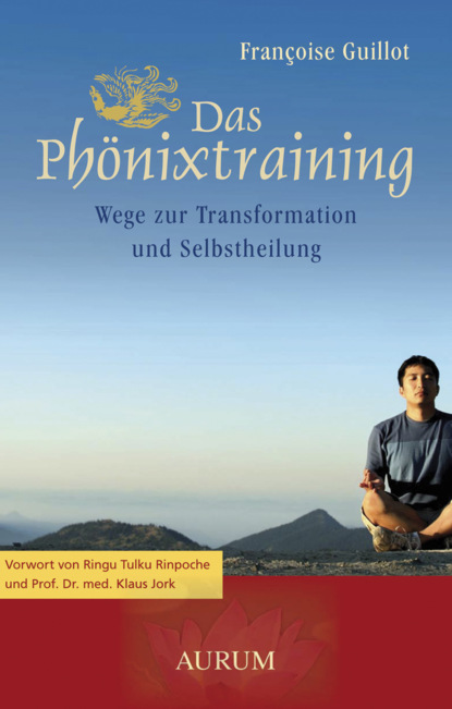 Das Phönixtraining