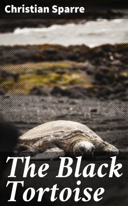 The Black Tortoise